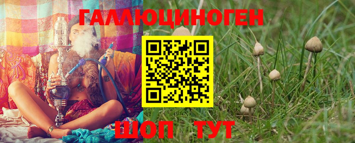 Псилоцибиновые грибы GOLDEN TEACHER Будённовск