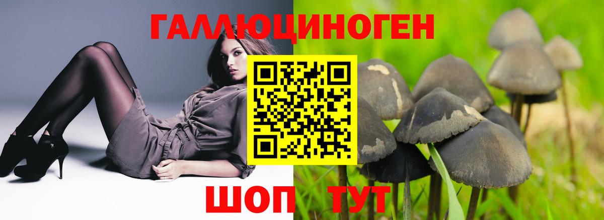 Галлюциногенные грибы Psilocybine cubensis  Вход с VPN  Будённовск 